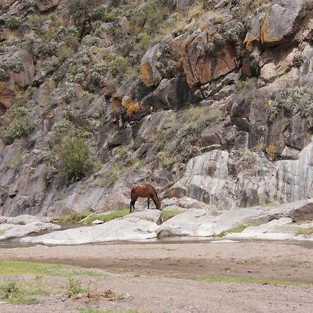 Altos Del Valle San Agustín de Valle Fértil Exterior foto