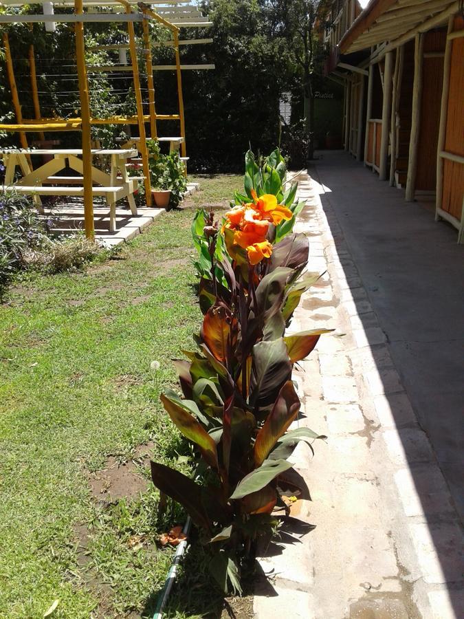 Altos Del Valle San Agustín de Valle Fértil Exterior foto